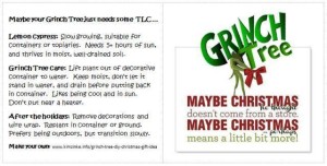 Grinch Tree care tag