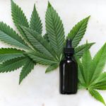 CBD oil and leaves