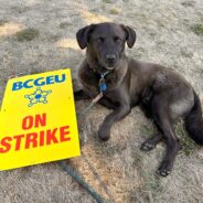 An unofficial guide to life on the picket line